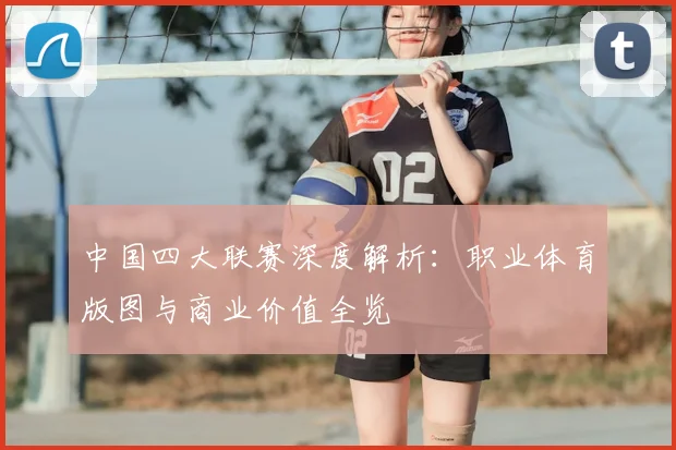 中国四大联赛深度解析：职业体育版图与商业价值全览